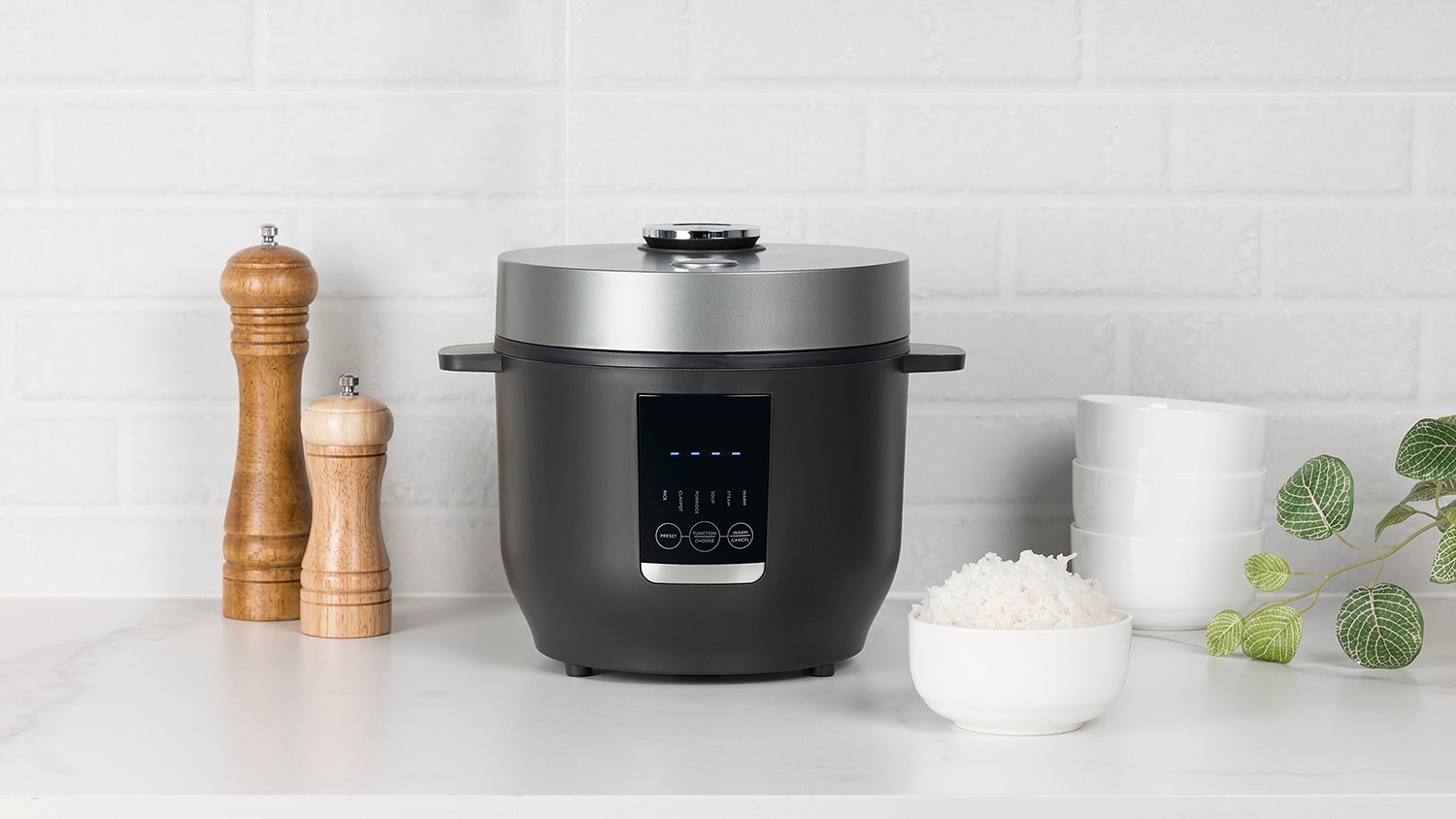 rice cooker