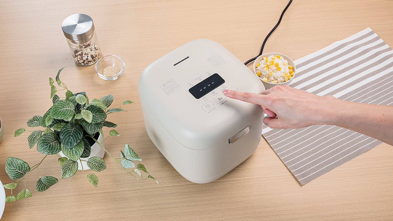 rice cooker 
