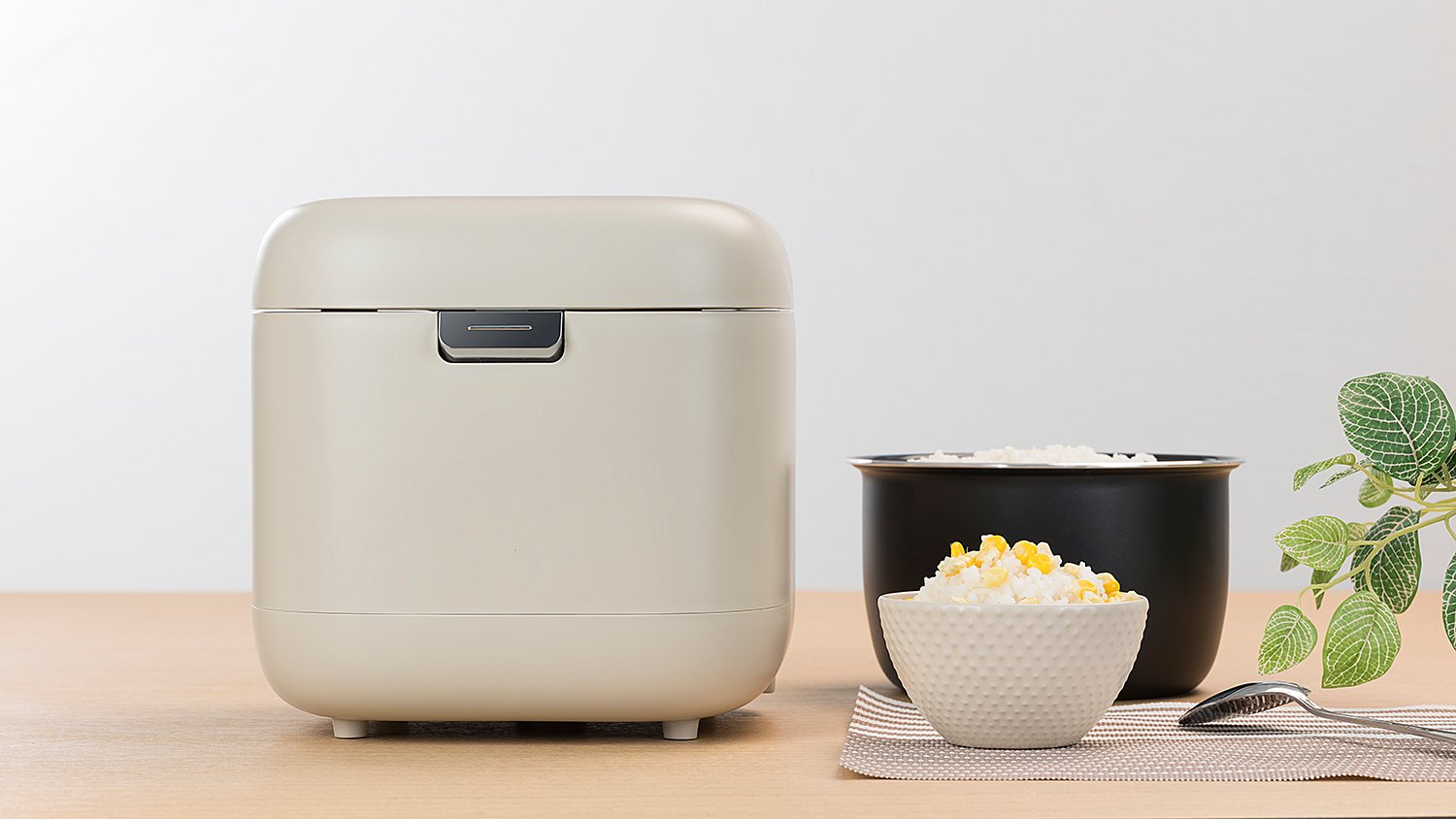 rice cooker