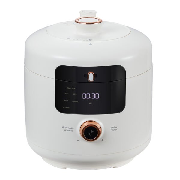 rice cooker