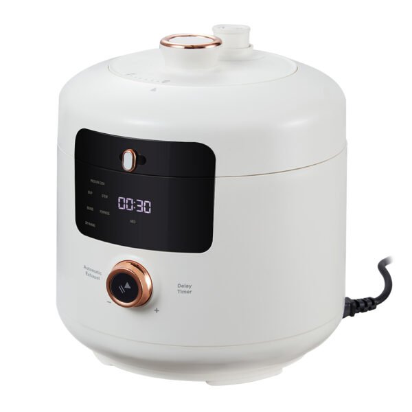 rice cooker