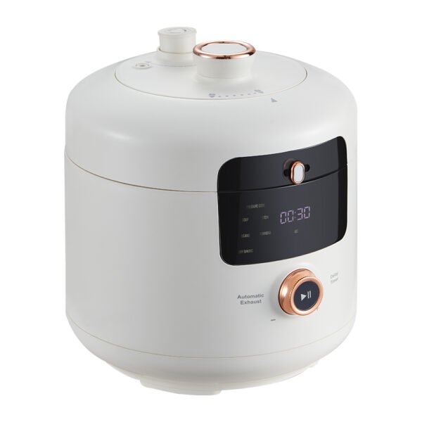 rice cooker