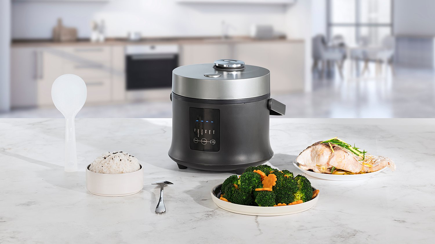 rice cooker
