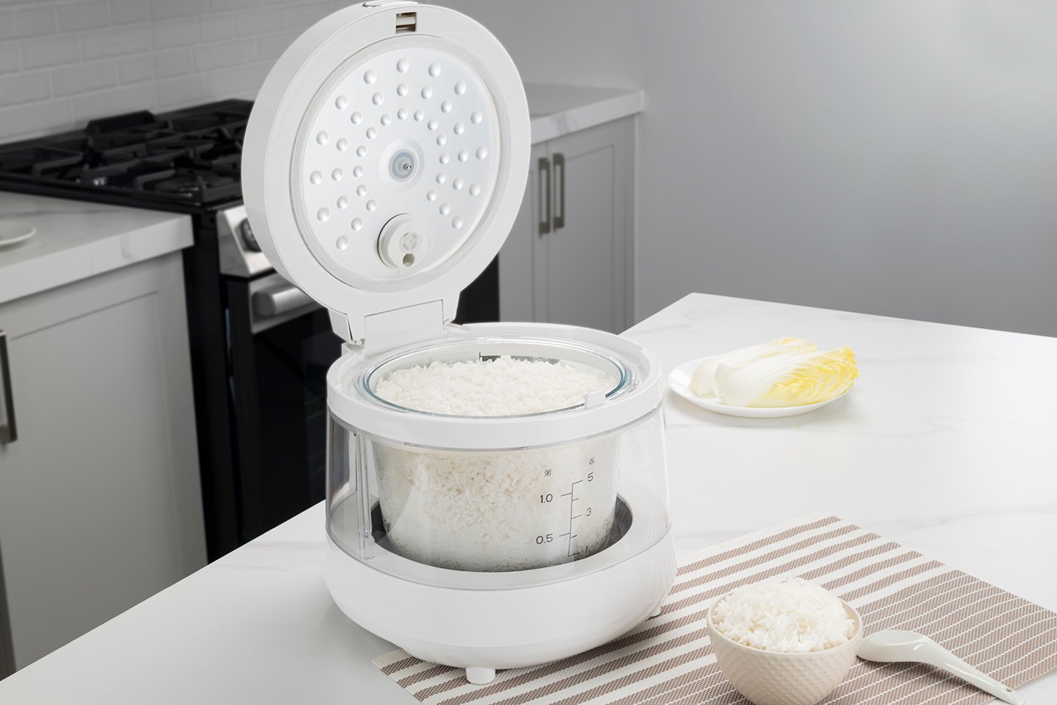 rice cooker