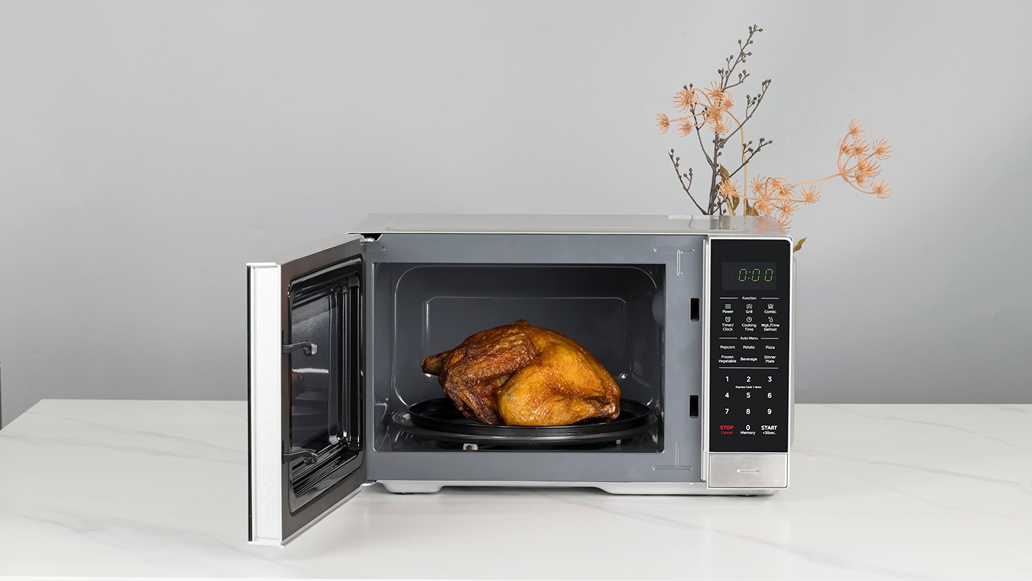 microwave oven