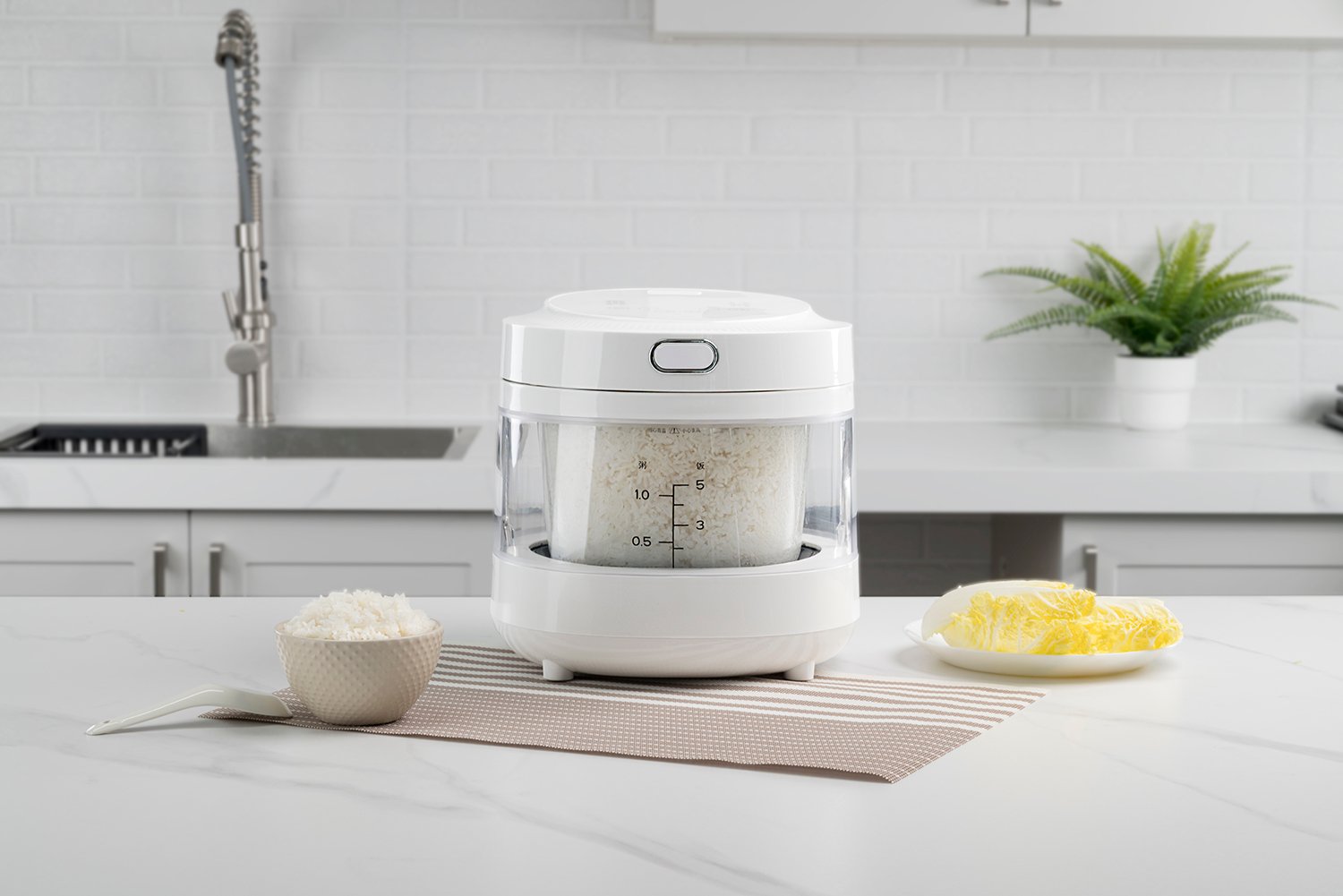 rice cooker