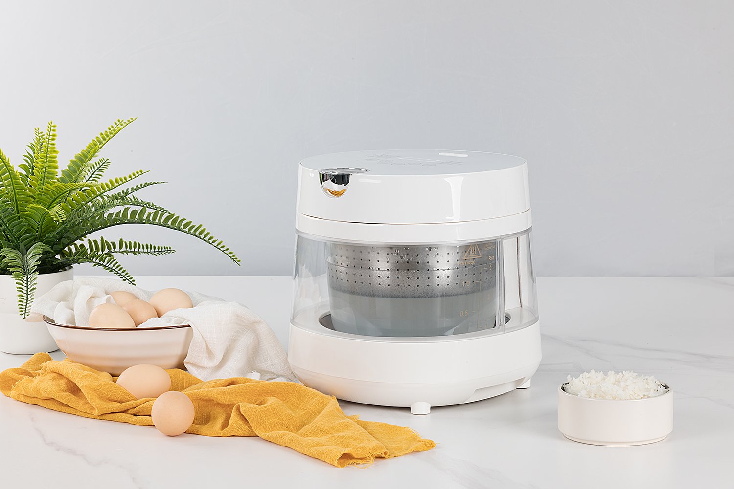 rice cooker